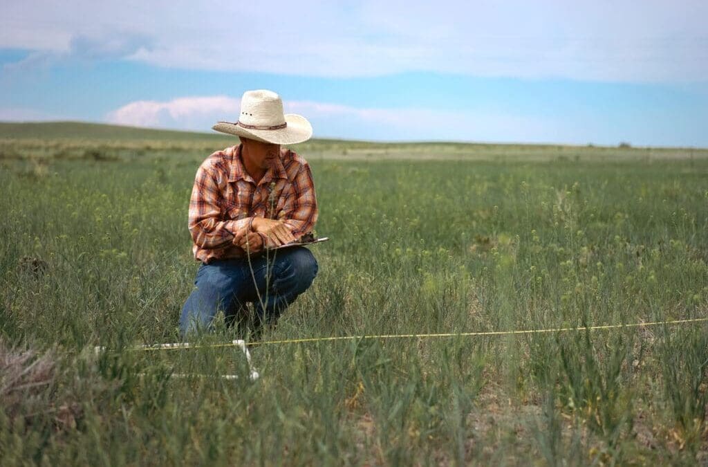 Programme for Monitoring and Verifying Ecological Outcomes on Farms