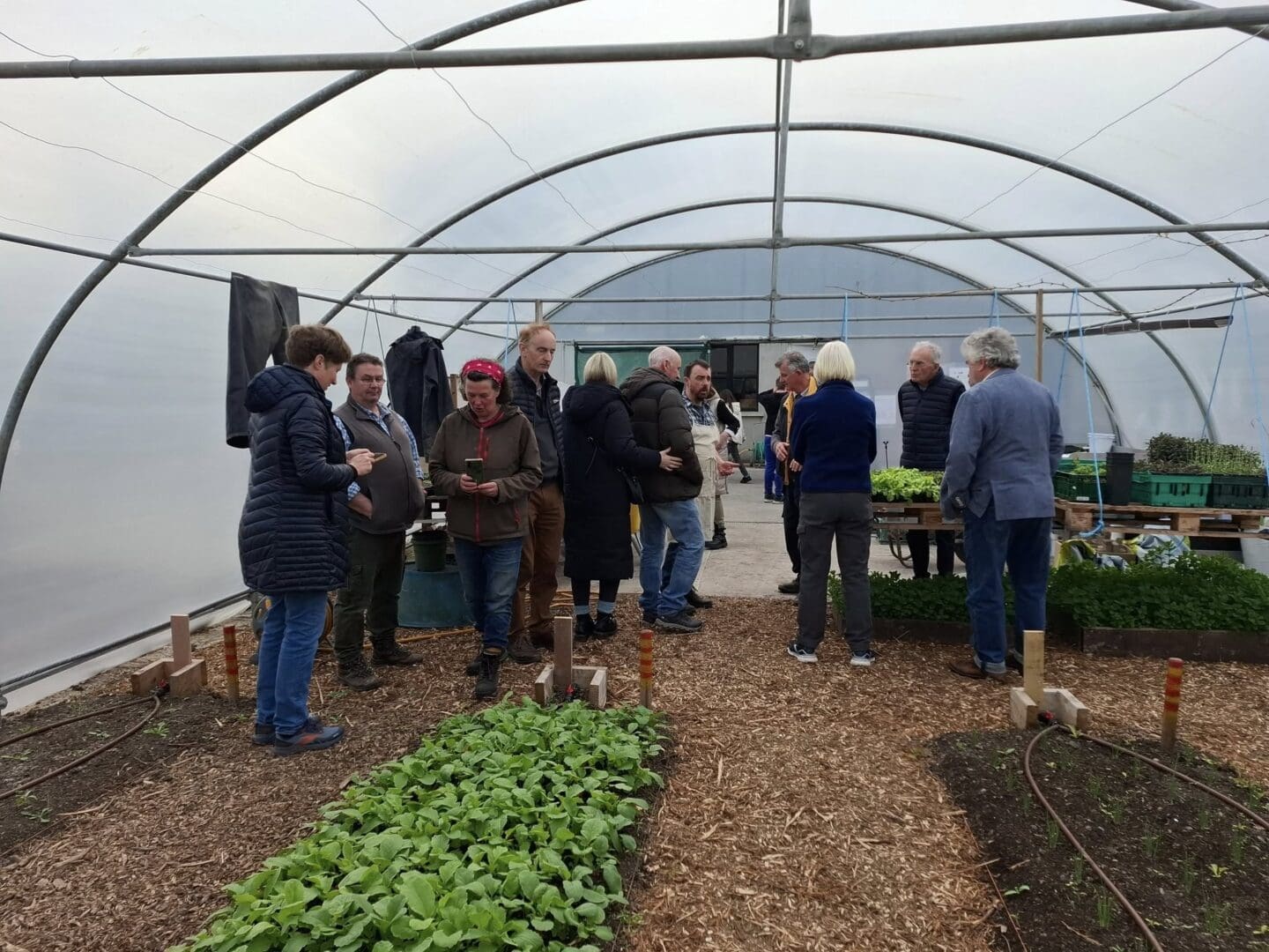 Kerry Social Farming