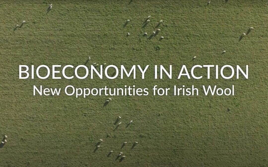 Bioeconomy in Action: Reviving the value of Irish wool