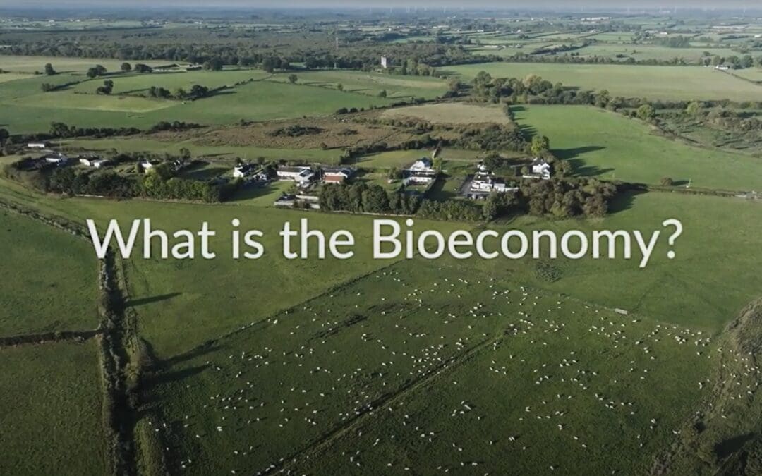 Bioeconomy in Action: Generating sustainable solutions for Ireland’s agri-food sector