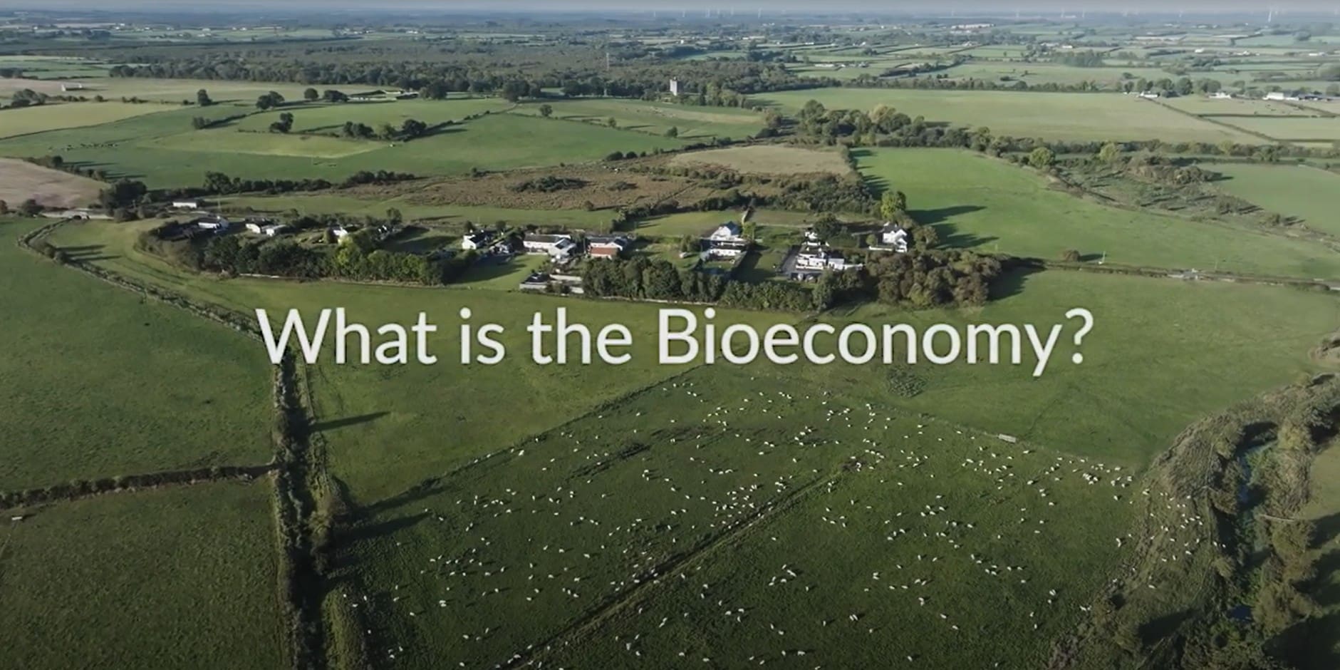 Bioeconomy in Action: Generating sustainable solutions for Ireland’s agri-food sector