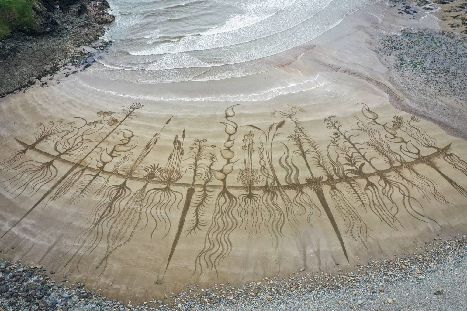 Bioregioning South East Ireland