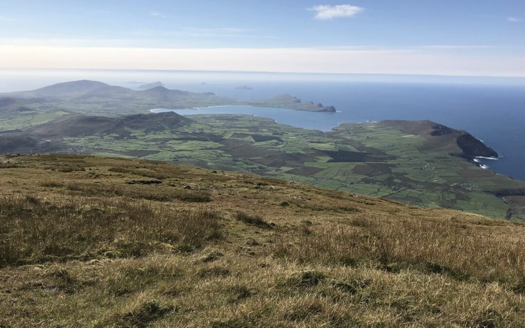 Areas of Natural Constraints Scheme Payments Announced