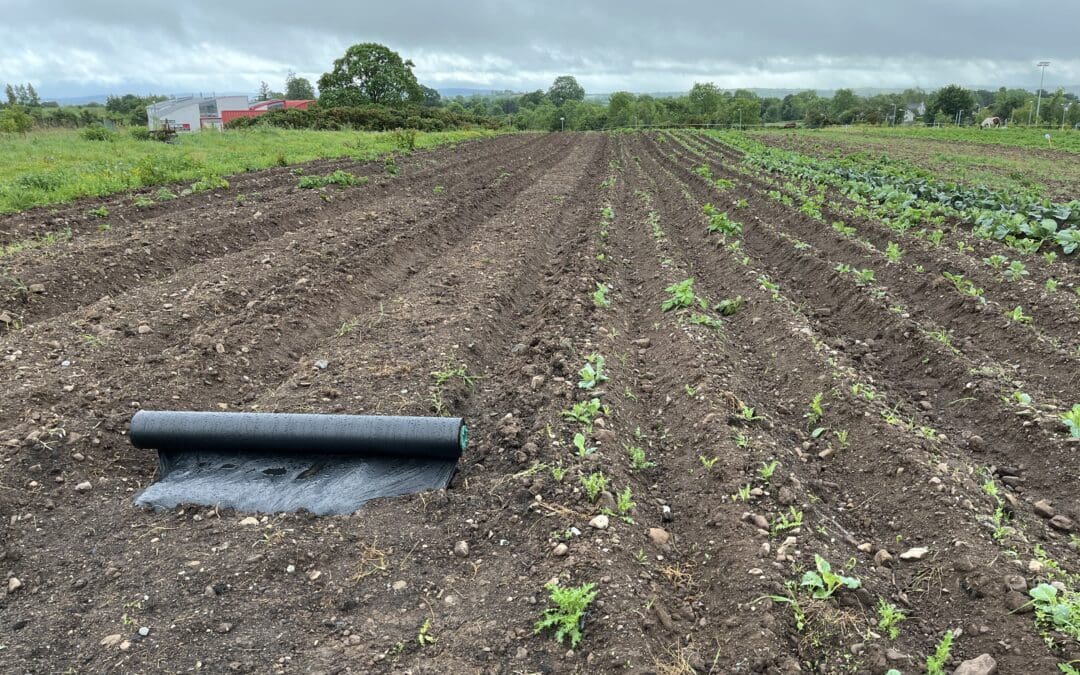 CAP Network’s Innovation Hub Organics Pilot