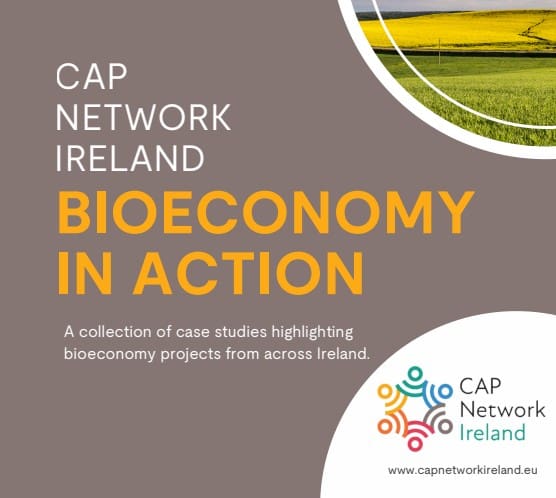 Bioeconomy in Action Booklet 2025
