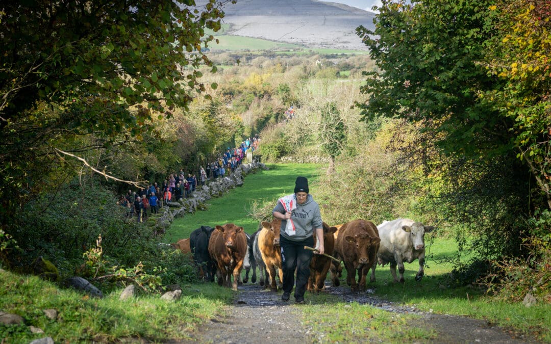 Packed Programme for Burren Winterage Weekend 2025