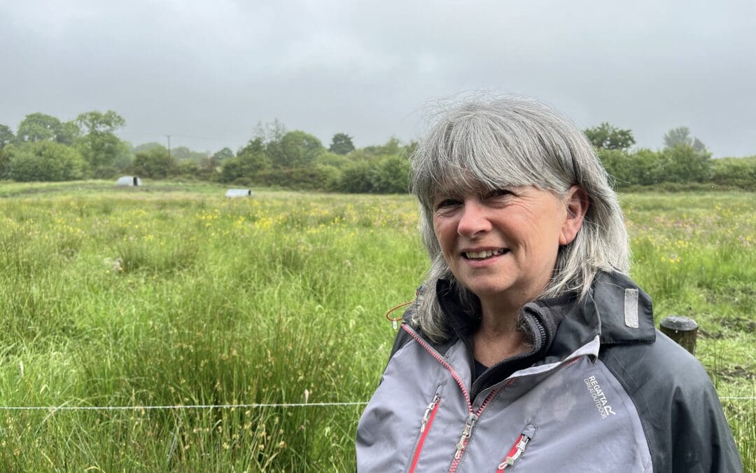 No Longer Swimming Against the Tide