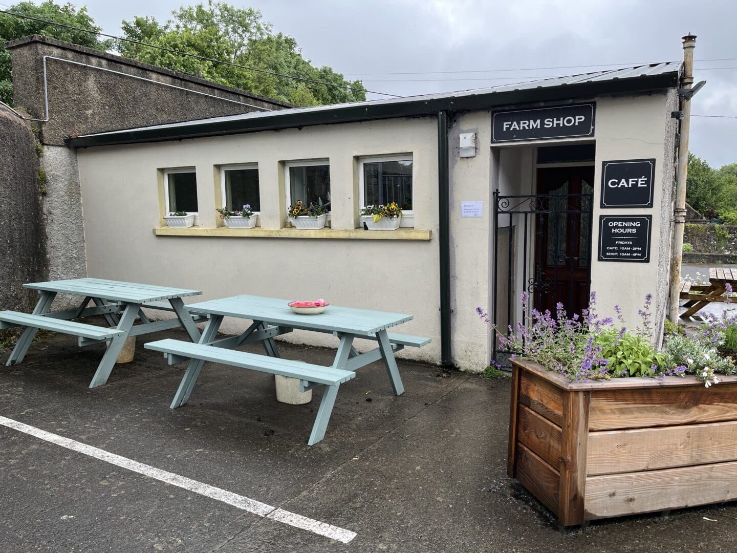 Marian Clarke, Farm Shop Doon Social Farm