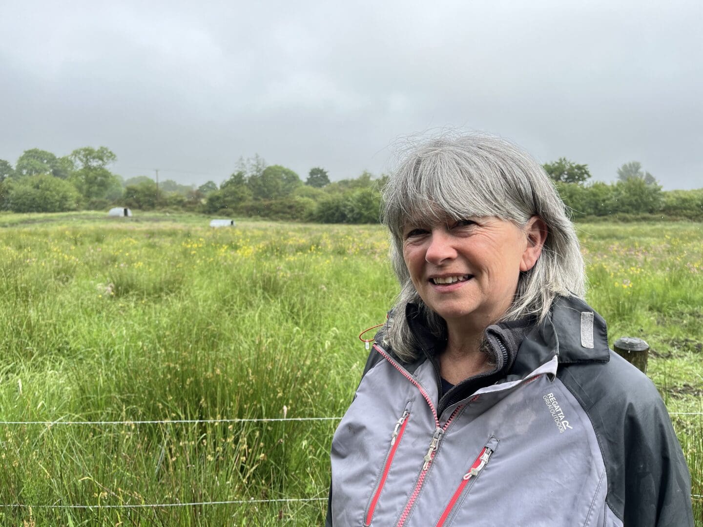 No Longer Swimming Against the Tide