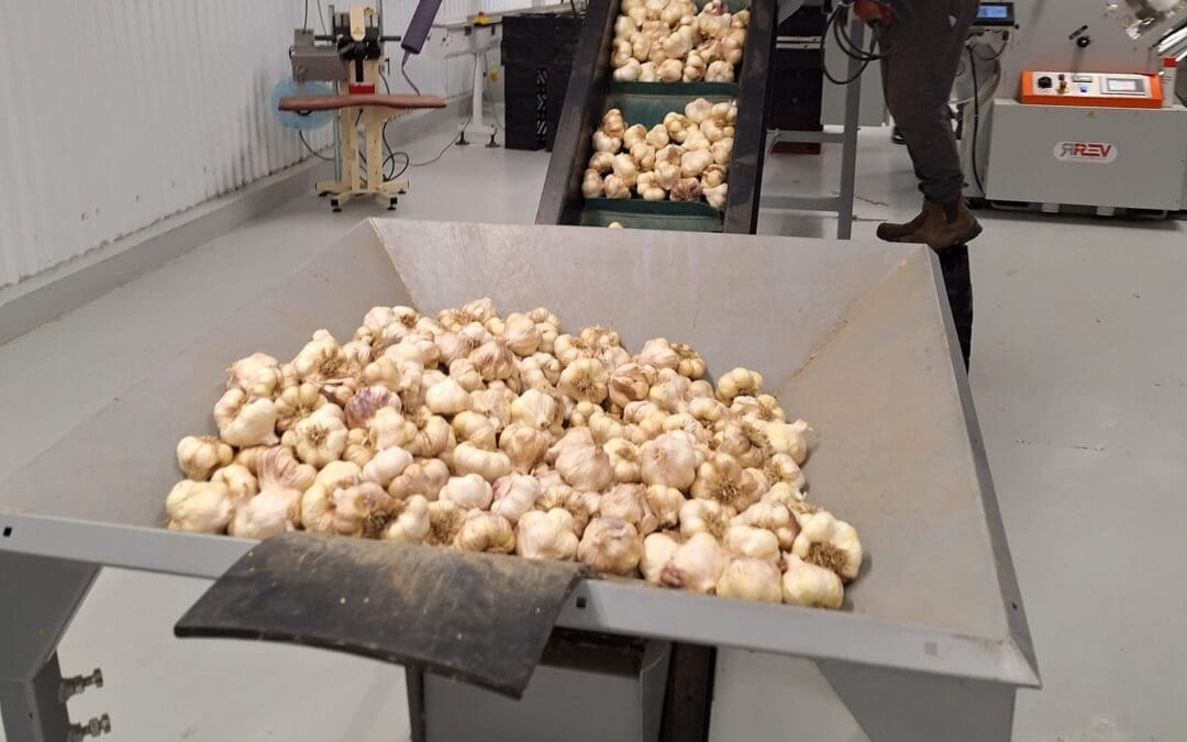 Investment Aid for the Commercial Horticulture Sector Announced