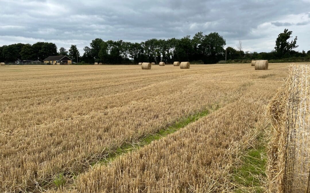 New ‘Arable Coast Environment’ EIP Project Announced
