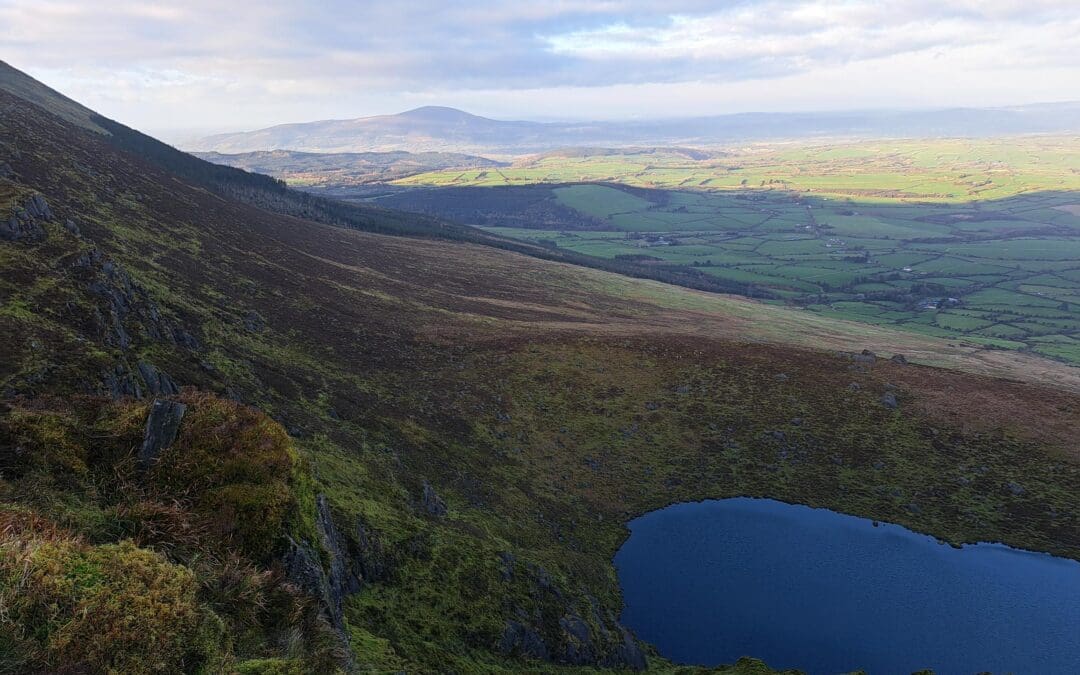 Non-Productive Investments Payments Begin under ACRES CP