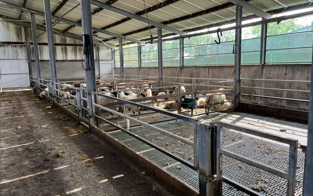 Important Dates for November and December 2025