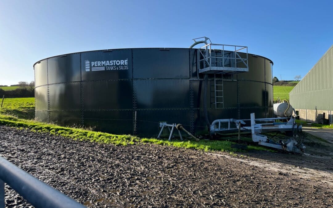 Ranking and selection applied to TAMS Tranche 9 applications