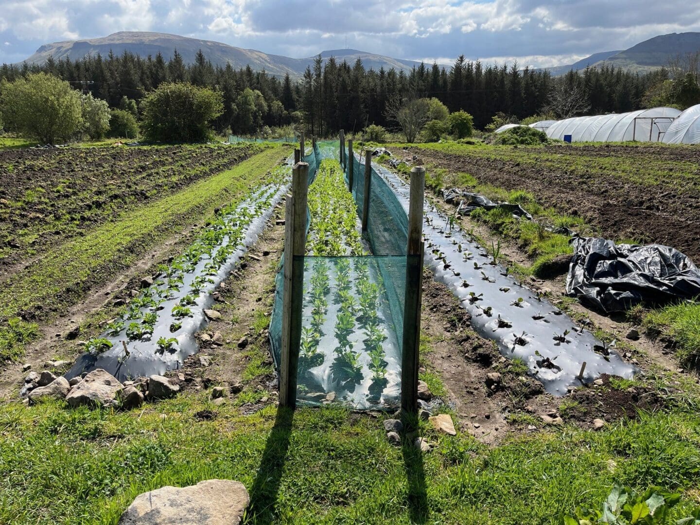 Organic Farming Scheme