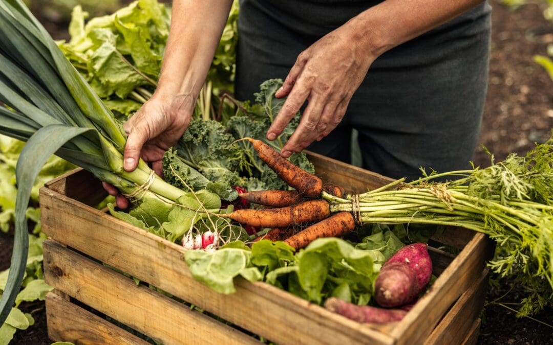 Pathways Towards National Organic Farming Targets