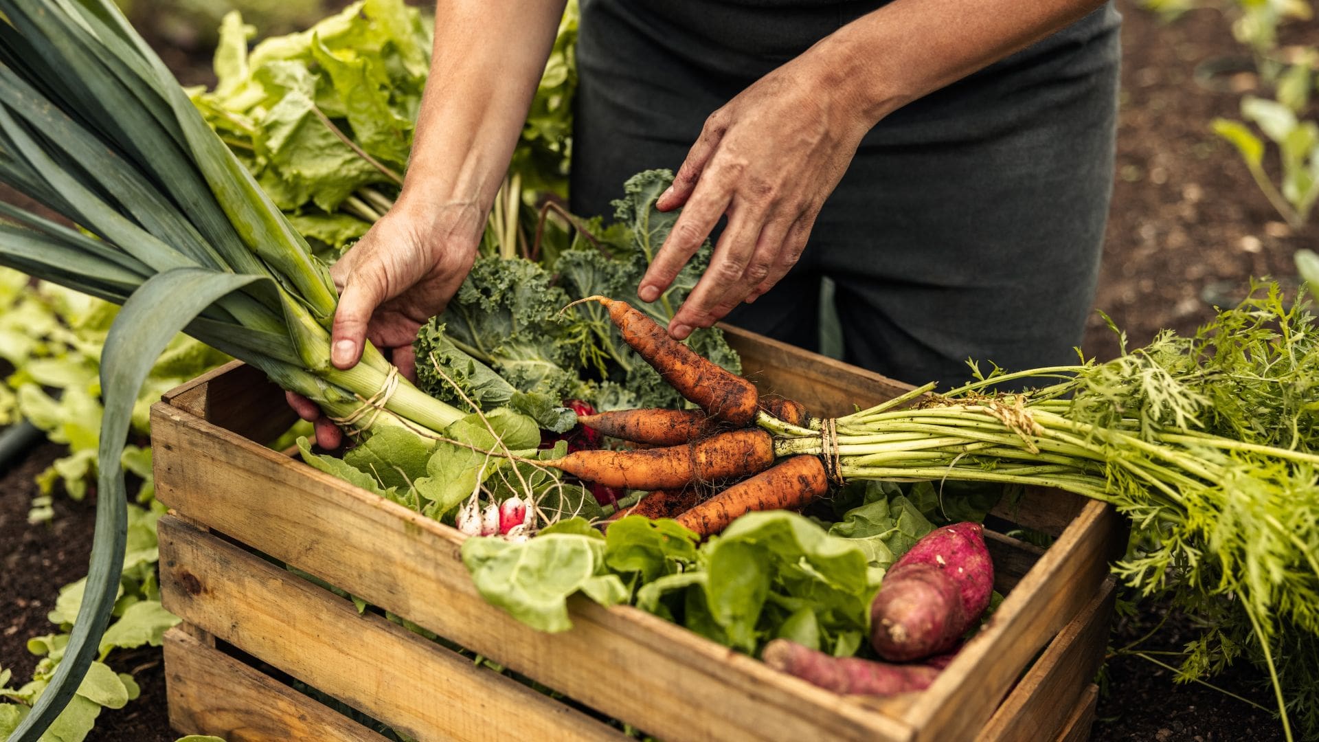 National Organic Farming Targets