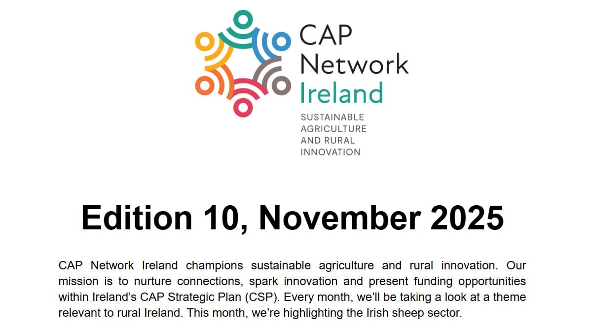 E-Bulletin November 2025