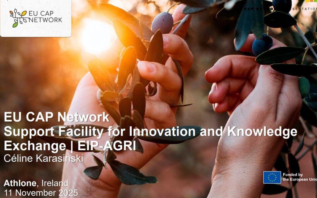 EU CAP Network EIP Presentation