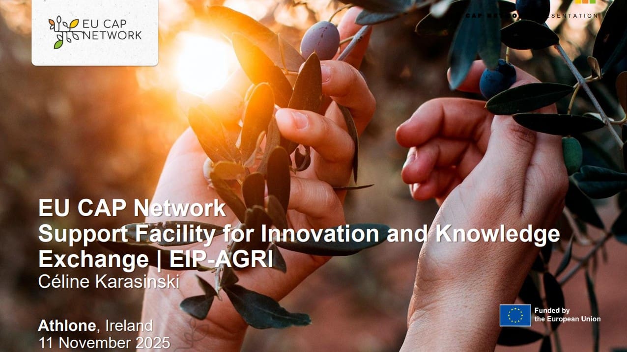 EU CAP Network EIP Presentation