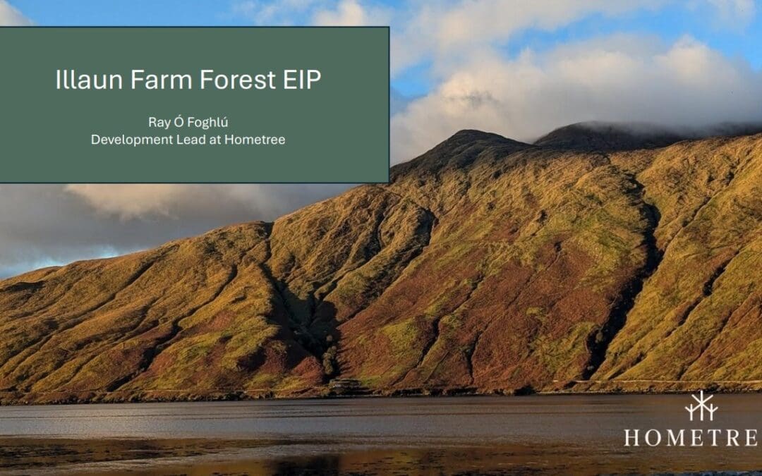 Illaun Farm Forest Presentation