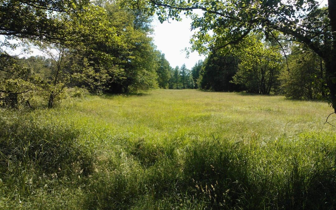 Toolkit for integrating agroforestry into various farming systems