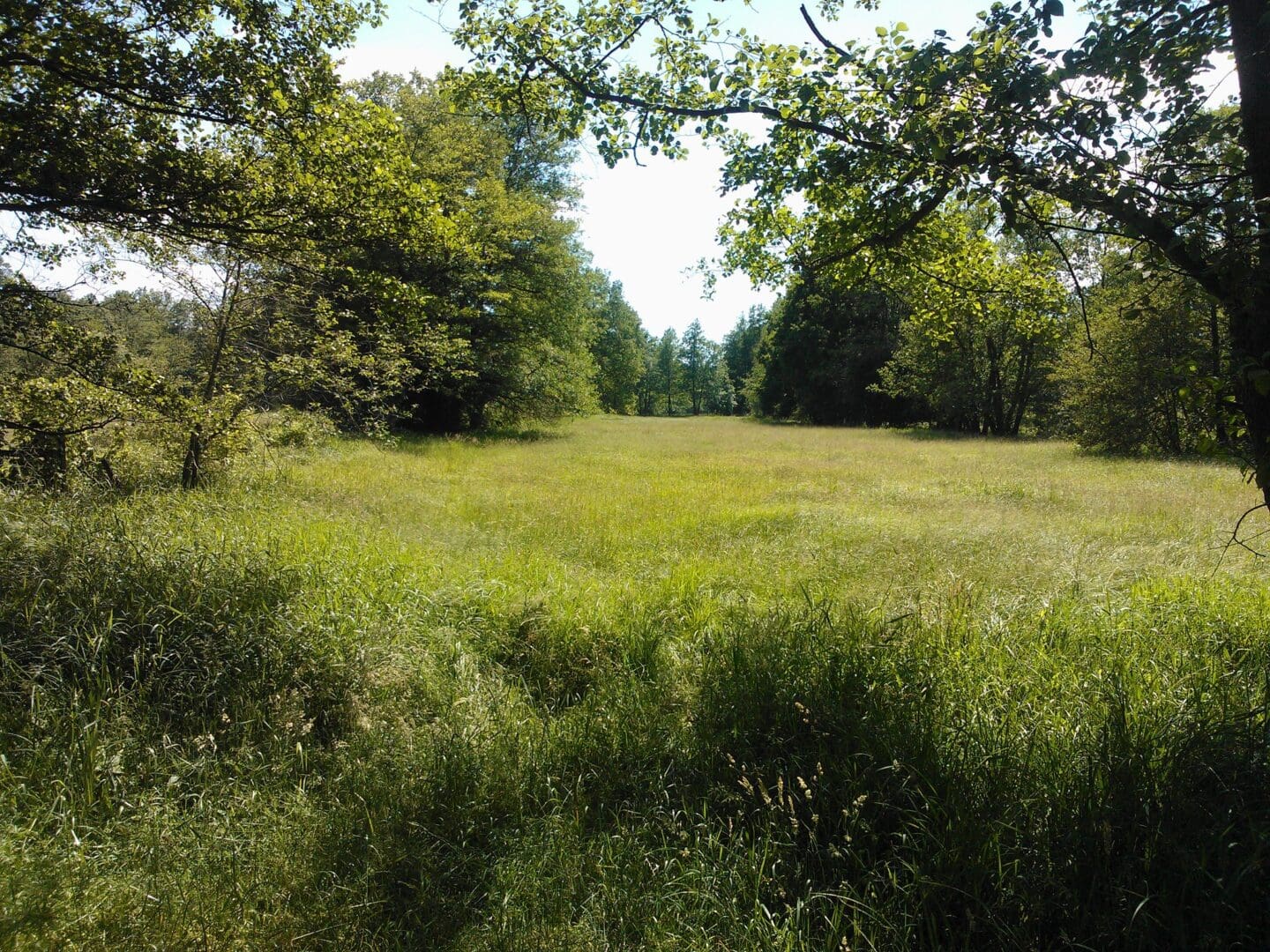 Toolkit for integrating agroforestry into various farming systems