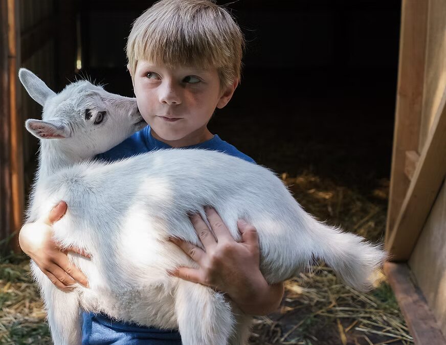 Online Mental Health Toolbox as a Resource to Help Farmers and Farming Communities to Engage with Mental Health Topics and Supports