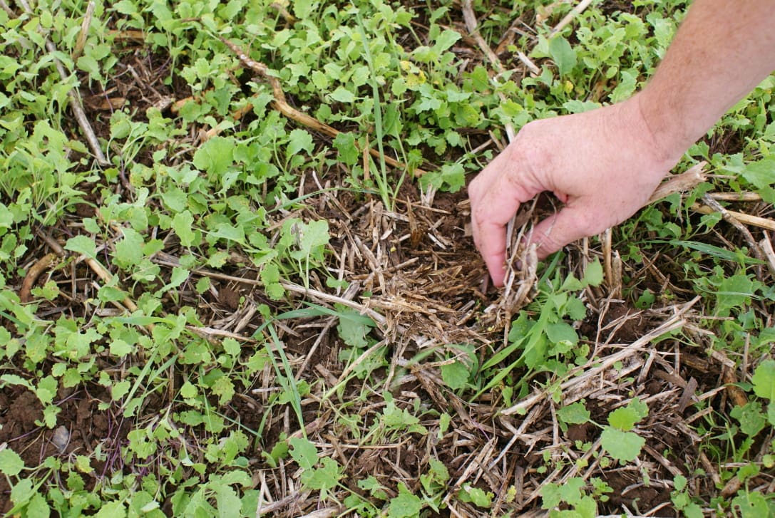 €9.5 Million Issued Under the Protein Aid Scheme