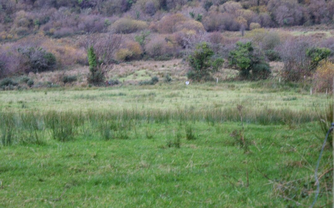 Important Updates Issued for ACRES Participants