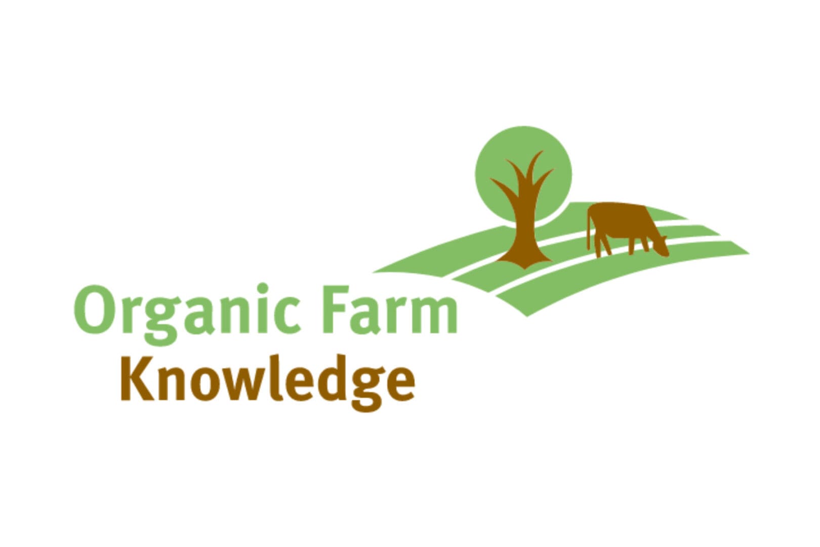 Titelbild Projektvorstellungen