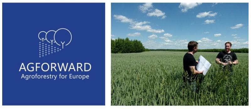 Framework for Enhanced Agroforestry Implementation in Europe