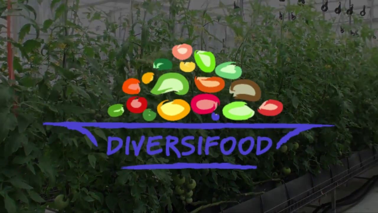 Diversifood digital database