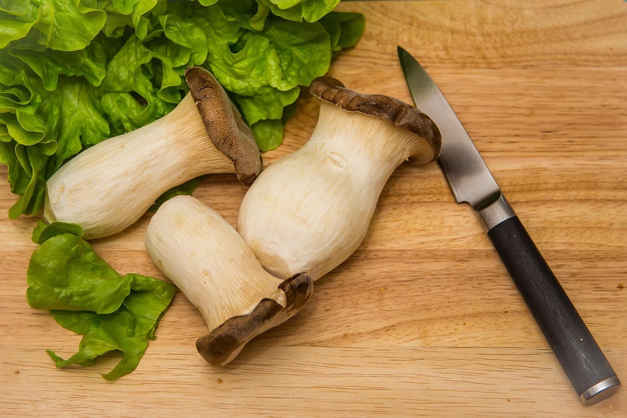 Oyster Mushroom Production