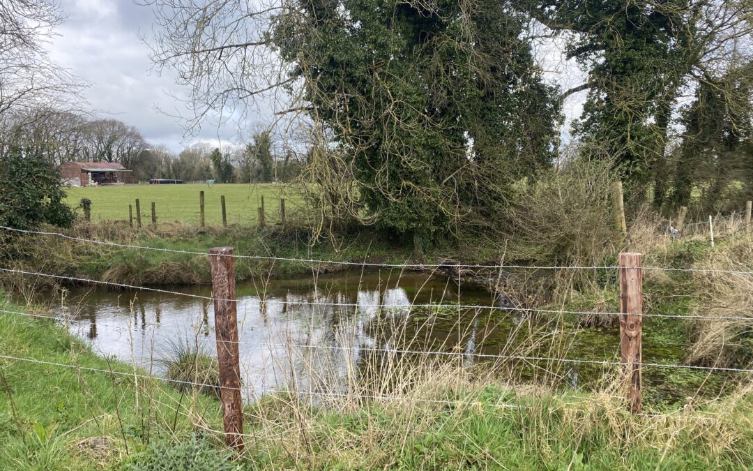 ACRES: Remarkable environmental benefits