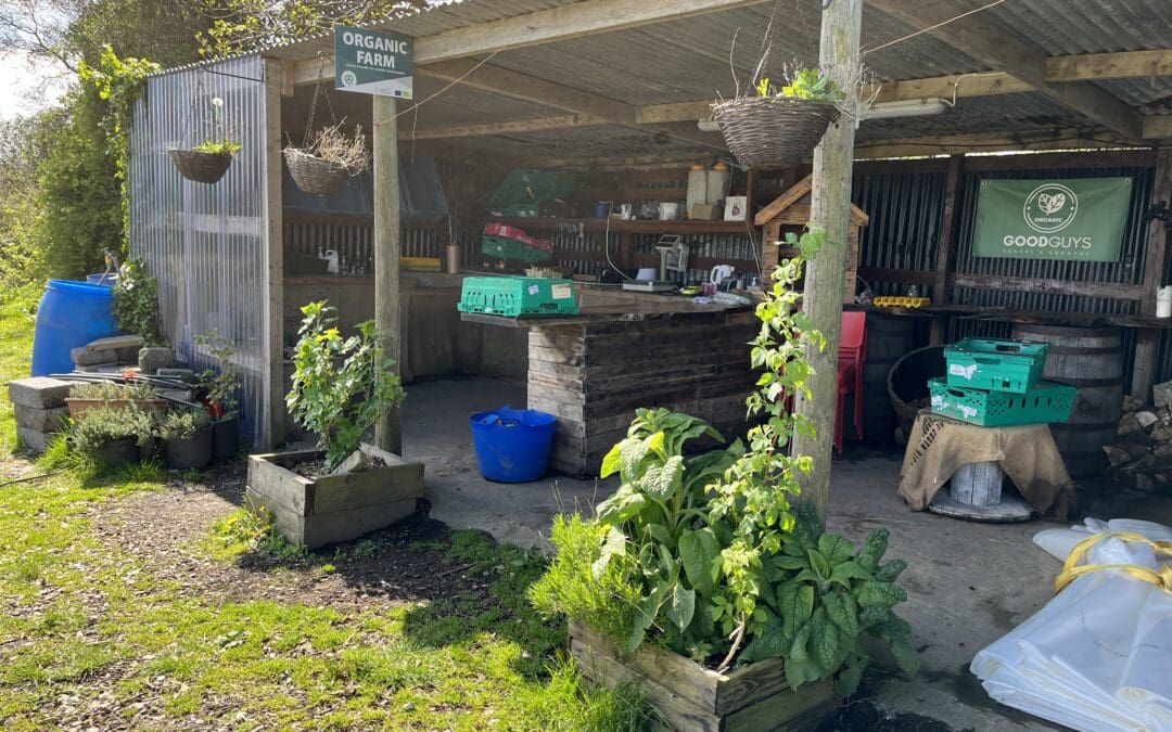 Call for Proposals Issued for Agri-Food Tourism Initiatives