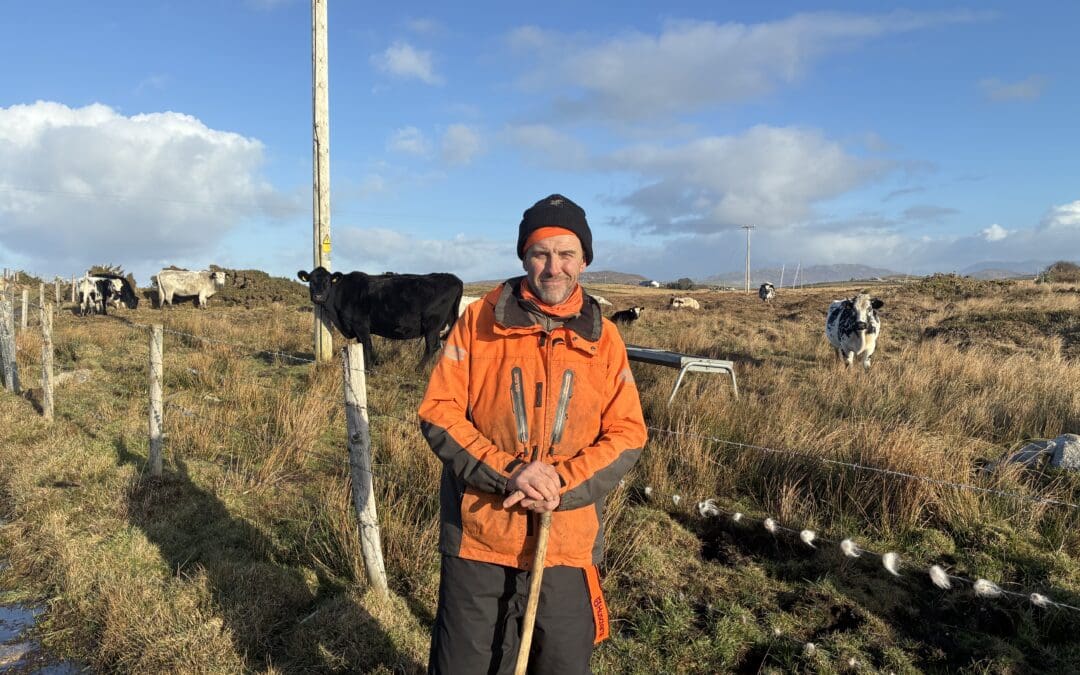 How Native Breeds Are Creating New Opportunities in Modern Agriculture