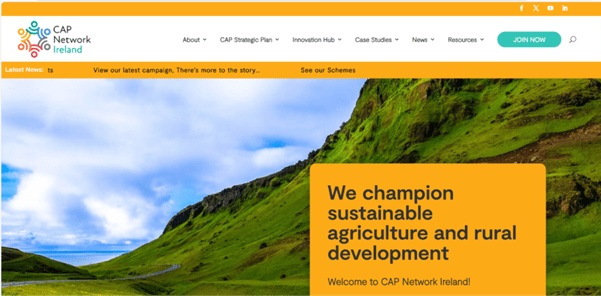 Resources on the CAP Network Ireland Website