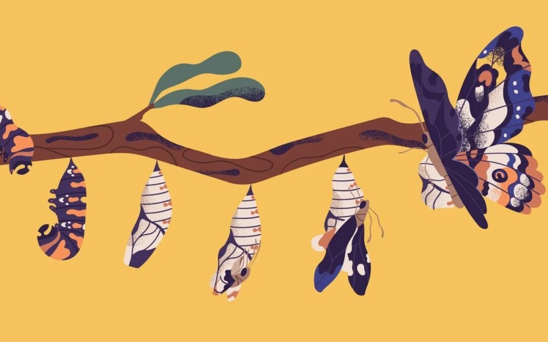 Thematic Group on Just Transition in the Agri-Food System