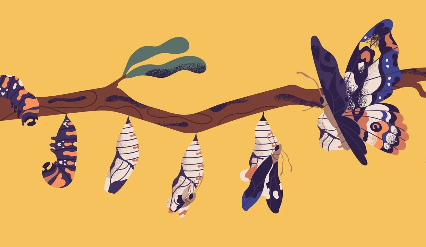 eu-cap-network-tg-just-transition-agrifood 1