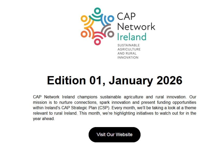 E-Bulletin January 2026