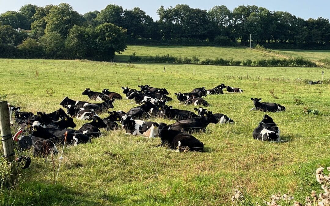 Application Process for 2026 BISS Payments Now Open