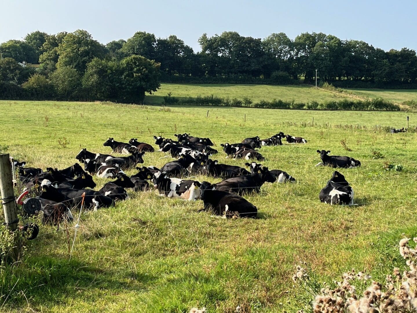 Application Process for 2026 BISS Payments Now Open