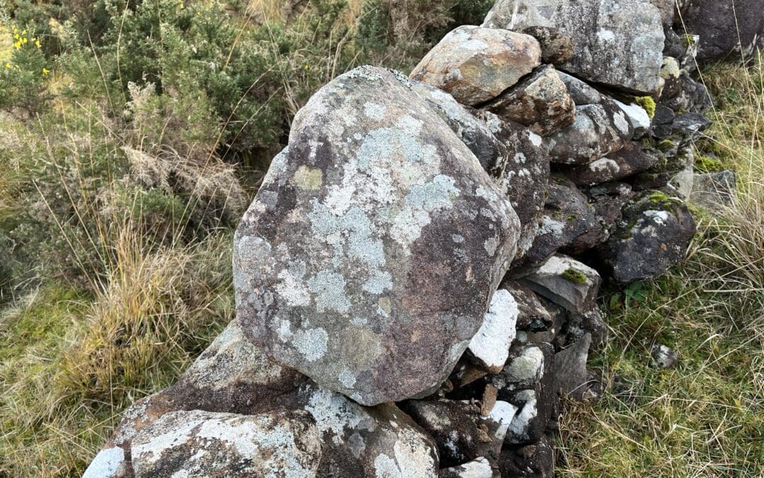 Second Application Window for ACRES Landscape Actions Opens