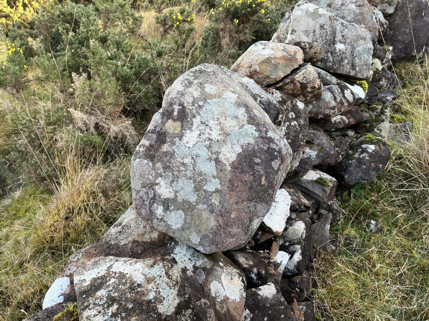 Second Application Window for ACRES Landscape Actions Opens