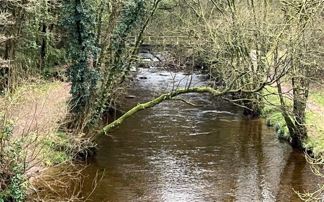 Important Dates for February and March 2026