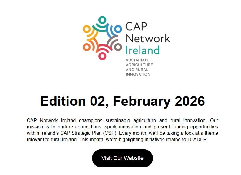 E-Bulletin February 2026
