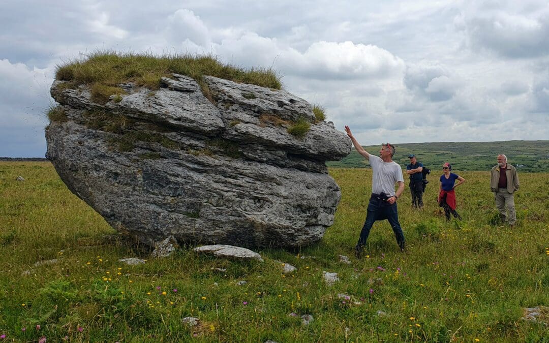 Burren in Bloom 2026 Unveils Month Long Programme