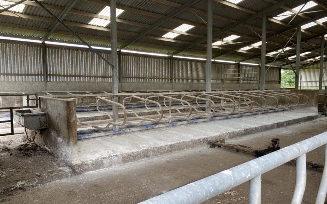 Ranking and Selection Continues for TAMS Tranche 10