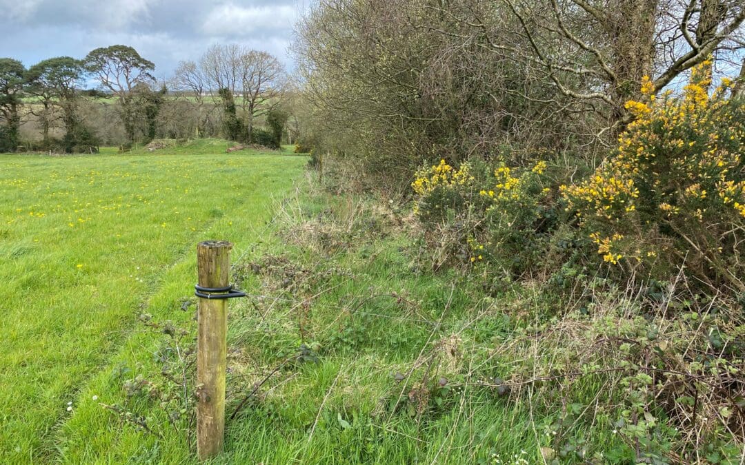 Important Update for ACRES Participants